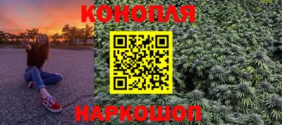 гашик Будённовск