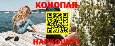 гашик Будённовск