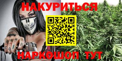 гашик Будённовск