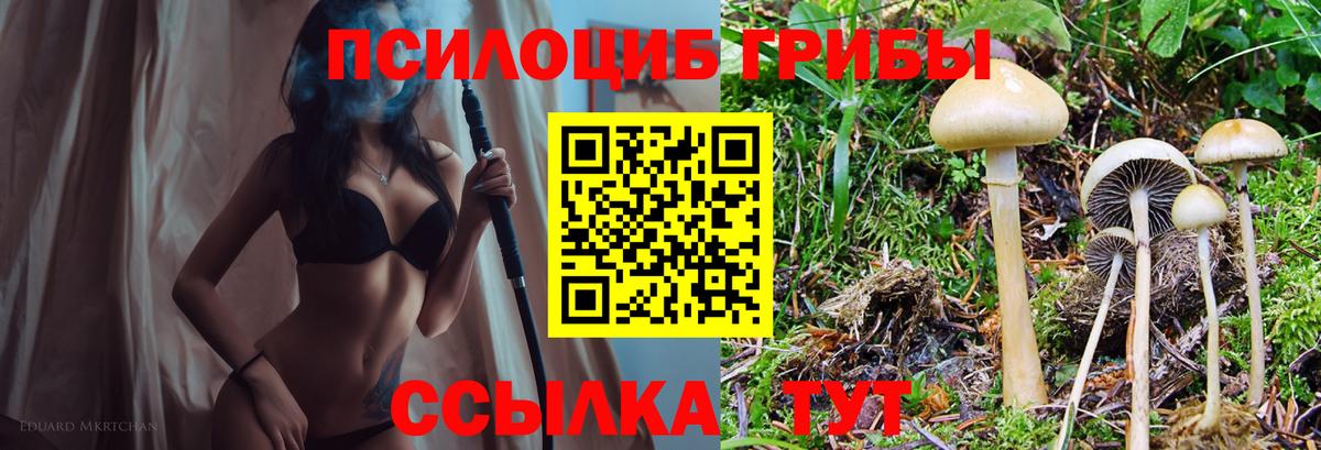 Псилоцибиновые грибы MAGIC MUSHROOMS Минусинск