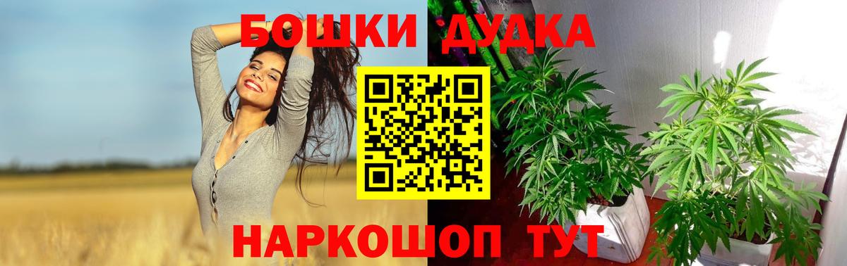 Бошки марихуана тримм  Конопля MAZAR  Шишки марихуана White Widow  Минусинск  Вход с VPN  Конопля Bruce Banner 